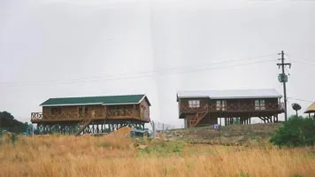 Gallery 5